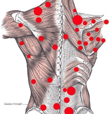 Arizona Injury Medical Associates P.L.L.C. | Your Injury Specialists