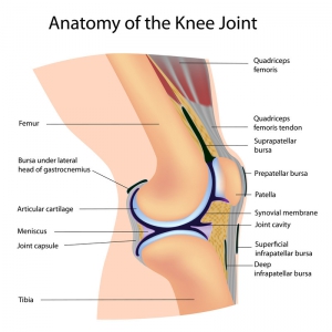 Knee Treatment Work Comp