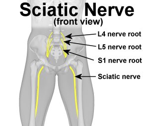 sciatica-nerve